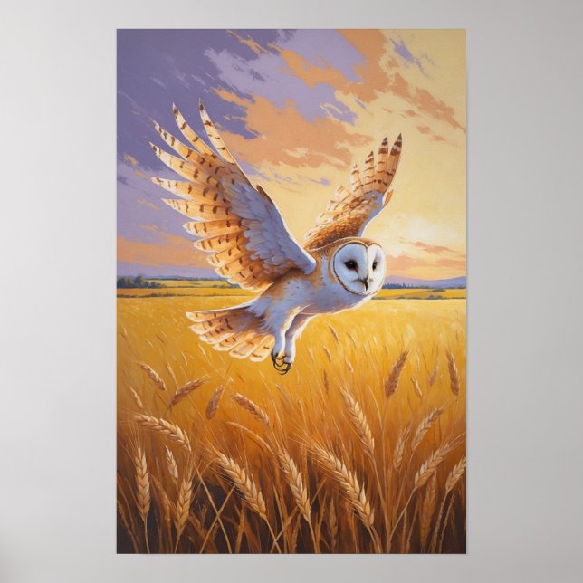 Flygande uggla över gyllene fält Vilda djur Solned Poster (Framsidan)