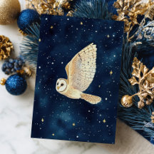 Flygande Uggla Starry Night Himmel Watercolor jul