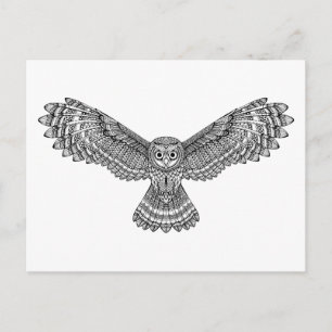Flygande Uggla Zendoodle Vykort
