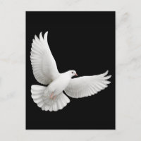 Flygande vit duva postkort
