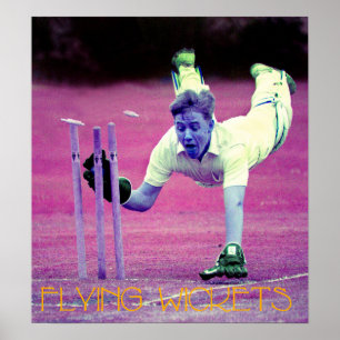 Flygande Wicken Poster
