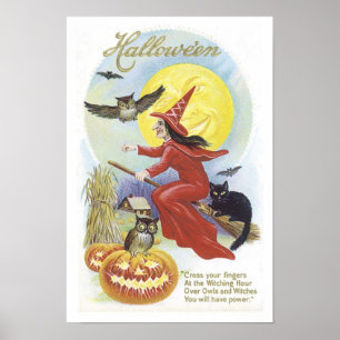 Flygande Witch, Fladdermöss, Kat, Uggla Måne Poster