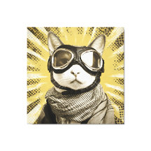 Flygar Katt Glasögon Solstråle Porträtt