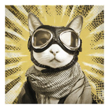 Flygar Kattskyddsglas Solstråle Porträtt