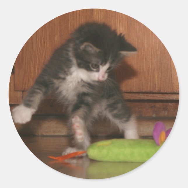 Flygattack Runt Klistermärke (Framsida)