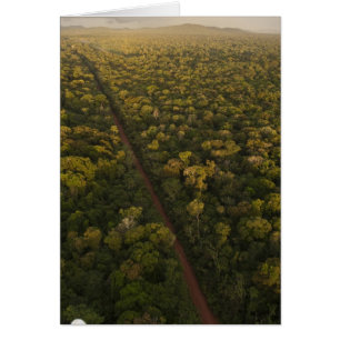 Flygbild av regnskog. Iwokrama reservat, 2 Hälsningskort