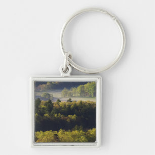 Flygbild av skog i Cades Cove, Great Smoky Fyrkantig Silverfärgad Nyckelring
