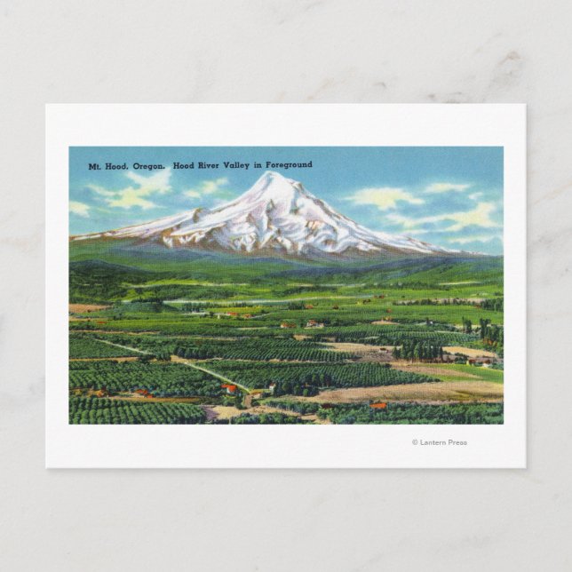 Flygbild över Hood River-dalen och berg Vykort (Framsida)