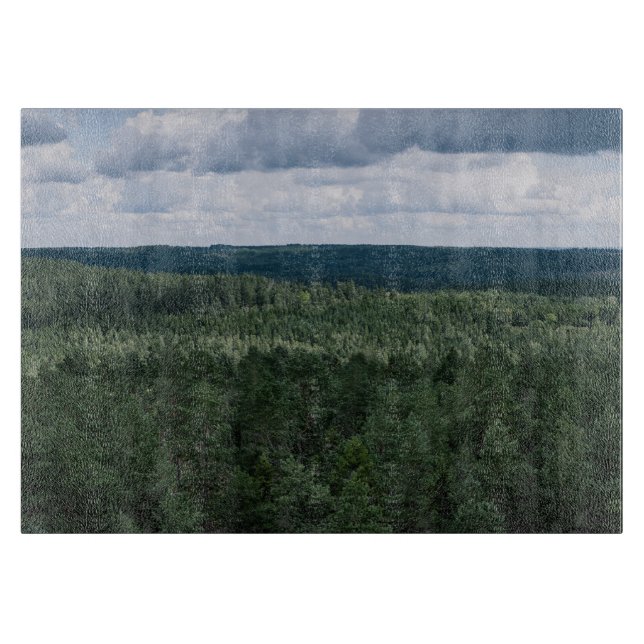 Flygbild över skoglandskap Foto (Framsidan)