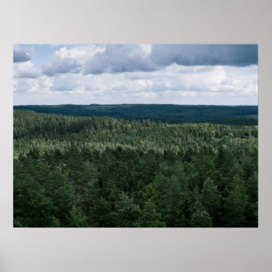 Flygbild över skoglandskap Mulet landskapsfoto Poster