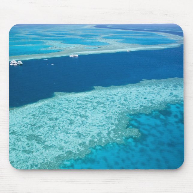 Flygbild över The Great Barrier Reef vid Musmatta (Framsidan)