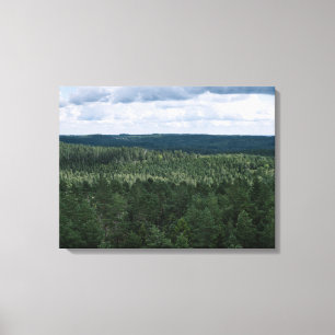 Flygbild Skog Och Moln Natur Landskapsfoto Canvastryck