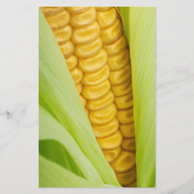 Flygblad för anpassningsbar i Maj, färska (Framsidan)