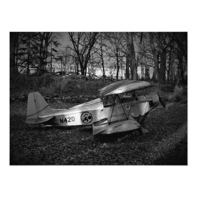 "Flygburna bilar" Fototryck (Framsidan)