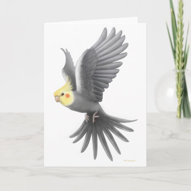 FlygCockatielkort Kort (Framsida)