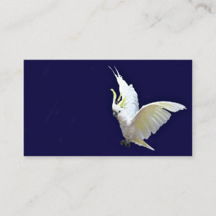 Flygcockatielvisitkort Visitkort