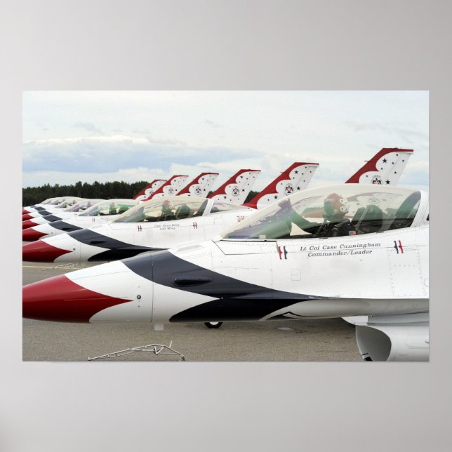 Flygdemonstrationsgrupp för underfåglar poster (Framsidan)