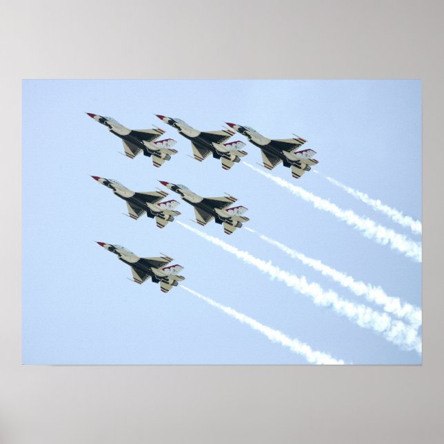 Flygdemonstrationsgrupp för underfåglar poster (Framsidan)