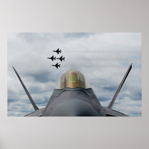 Flygdemonstrationsgrupp för underfåglar poster
