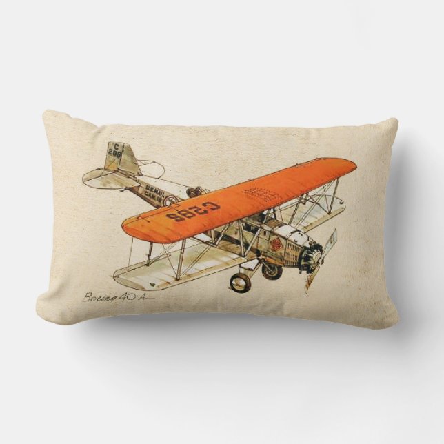 Flygdesign Lumbarkudde (Framsida)