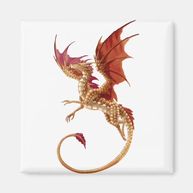 flygdrake magnet (Framsidan)