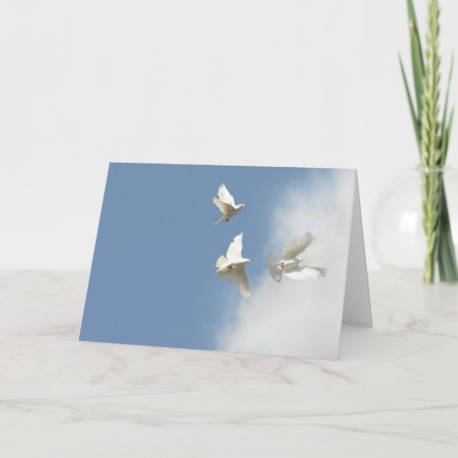 Flygduvor Kort (Framsida)