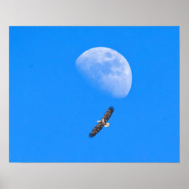 Flyger förbi månen poster