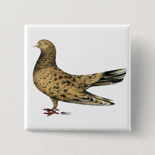 Flyget Oriental Roller Pigeon Almond Knapp