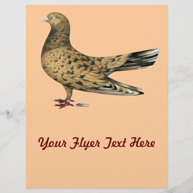 Flyget Oriental Roller Pigeon Almond Reklamblad (Framsidan)