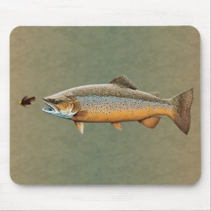 Flygfiske Brown Trout Musmatta