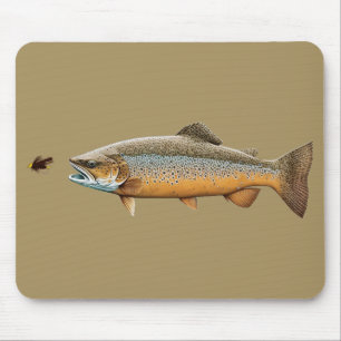 Flygfiske Brown Trout Musmatta