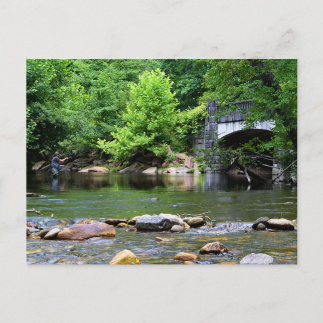 Flygfiske Day Dream Vykort (Framsida)