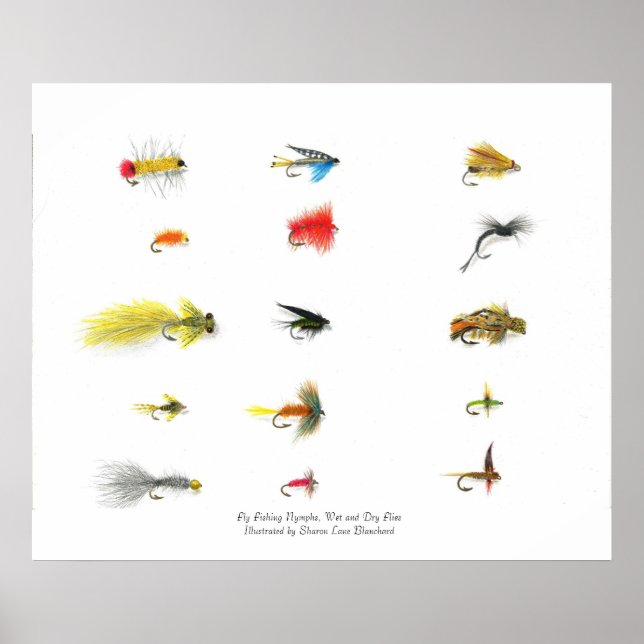 Flygfiske, Flygfiske Nymphs, Blöt och torr Fl... Poster (Framsidan)