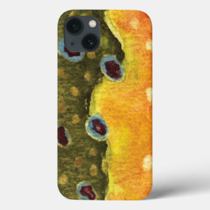 Flygfiske för regnbåge