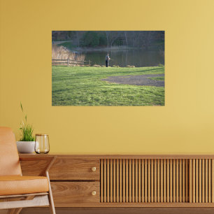 Flygfiske i Pond Poster