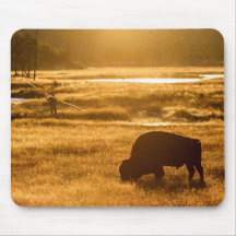 Flygfiske i Yellowstone