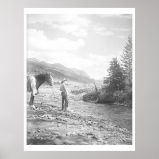 Flygfiske. Poster