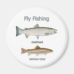 Flygfiskeregnbågeforell - Steelhead Magnet