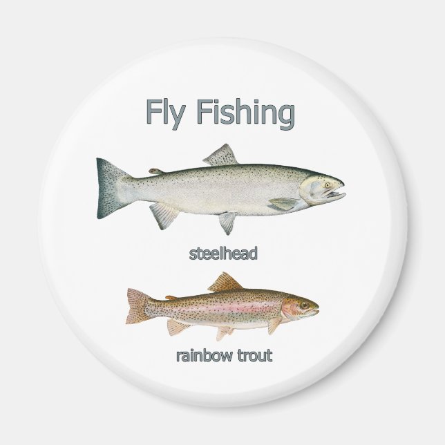 Flygfisket Rainbow Trout - Steelhead Magnet (Framsidan)