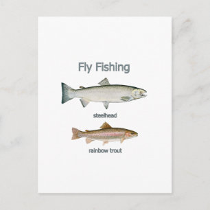 flygfisket Rainbow Trout - Steelhead Vykort