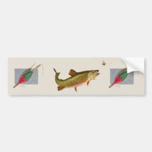 Flygfisket vintage regnbåge Trout Bildekal