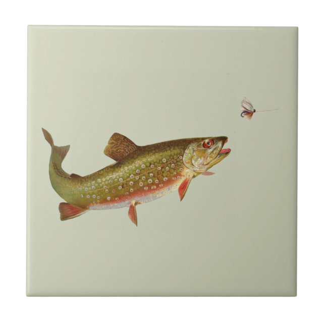 Flygfisket vintage regnbåge Trout Kakelplatta (Framsidan)
