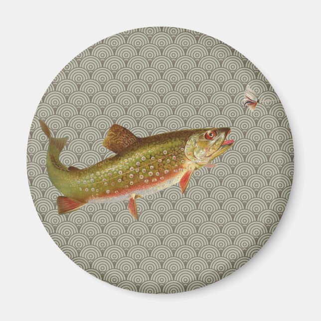 Flygfisket vintage regnbåge Trout Magnet (Framsidan)