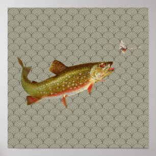 Flygfisket vintage regnbåge Trout Poster