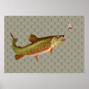 Flygfisket vintage regnbåge Trout Poster