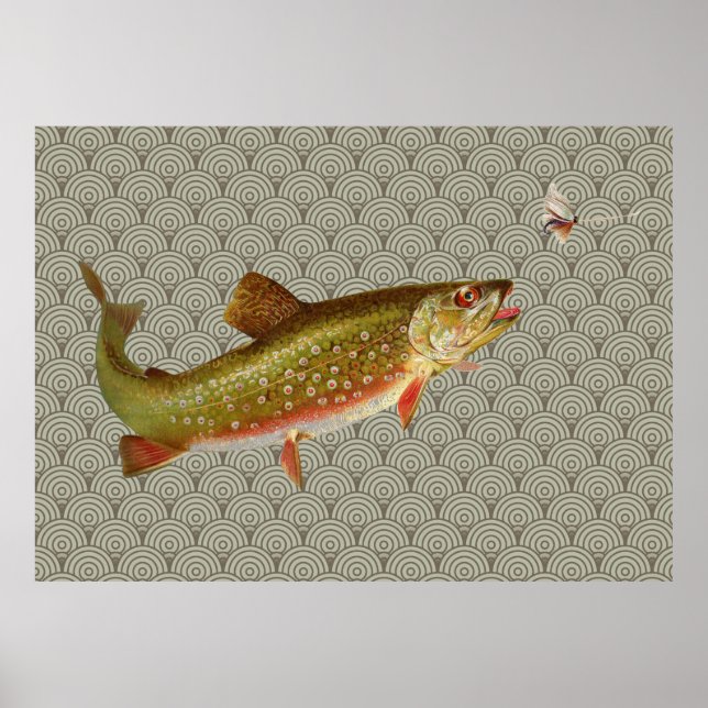 Flygfisket vintage regnbåge Trout Poster (Framsidan)