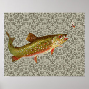Flygfisket vintage regnbåge Trout Poster