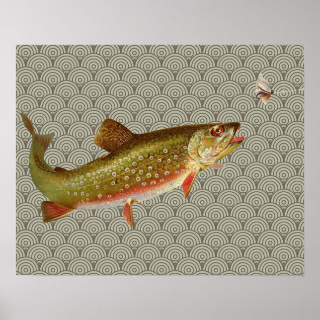 Flygfisket vintage regnbåge Trout Poster (Framsidan)