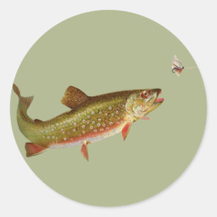 Flygfisket vintage regnbåge Trout Runt Klistermärke