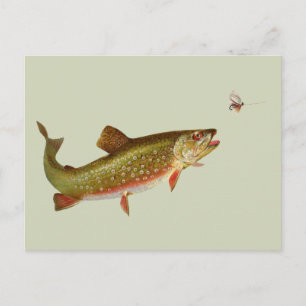 Flygfisket vintage regnbåge Trout Vykort